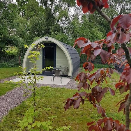 Mount Hillary Holiday Pods Cork Exteriér fotografie