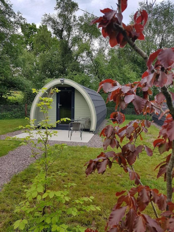Mount Hillary Holiday Pods Cork Exteriér fotografie